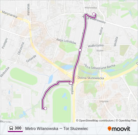 300 bus Line Map