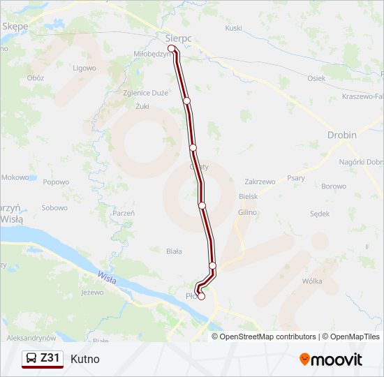 Z31 bus Line Map