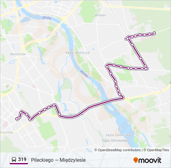 319 bus Line Map