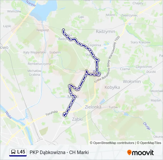 Автобус L45: карта маршрута