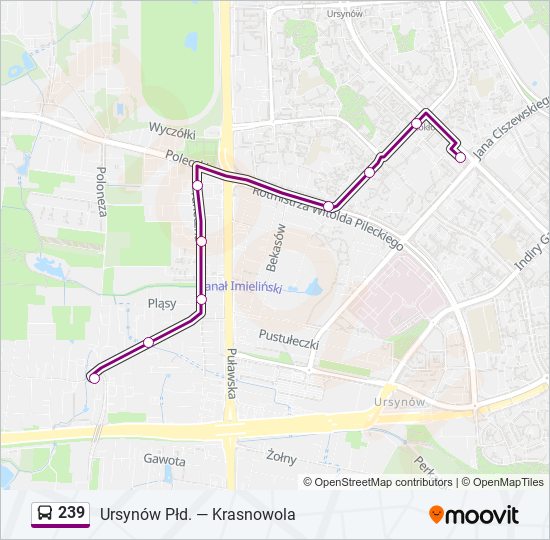 239 Bus Line Map