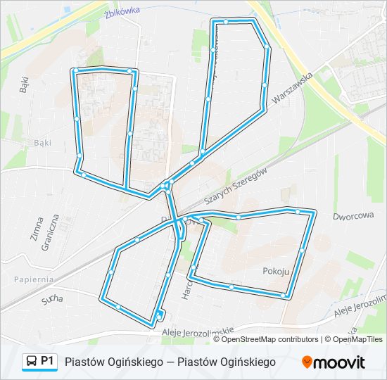 P1 bus Line Map