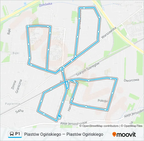 P1 Bus Line Map