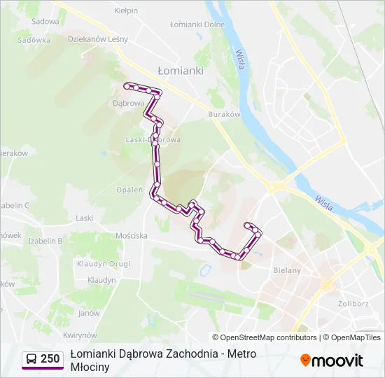 Автобус 250: карта маршрута