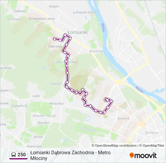 Автобус 250: карта маршрута