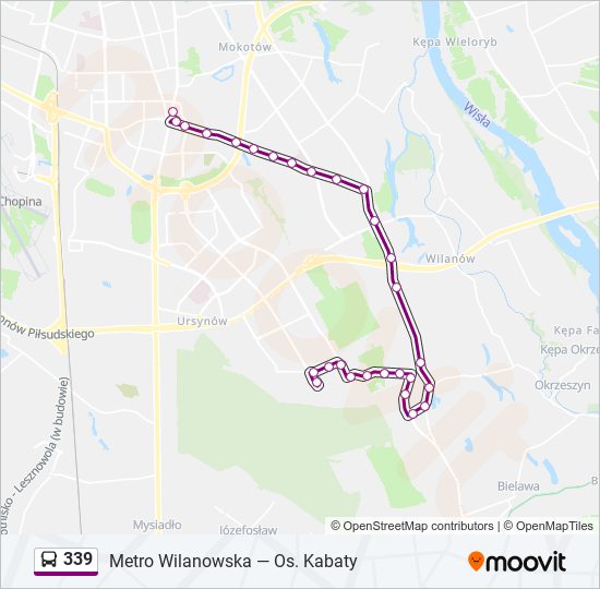 339 Bus Line Map