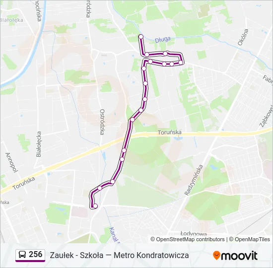 256 Bus Line Map