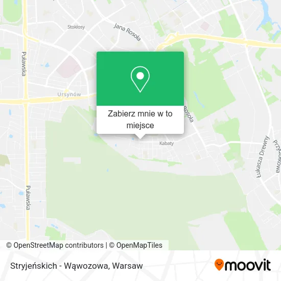 Mapa Stryjeńskich - Wąwozowa