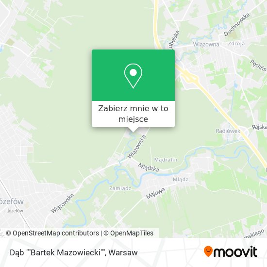 Mapa Dąb ""Bartek Mazowiecki""