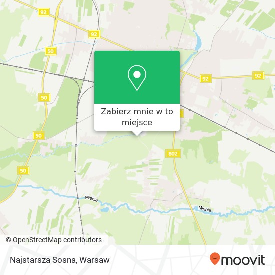 Mapa Najstarsza Sosna