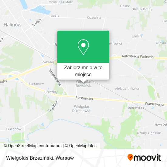 Mapa Wielgolas Brzeziński