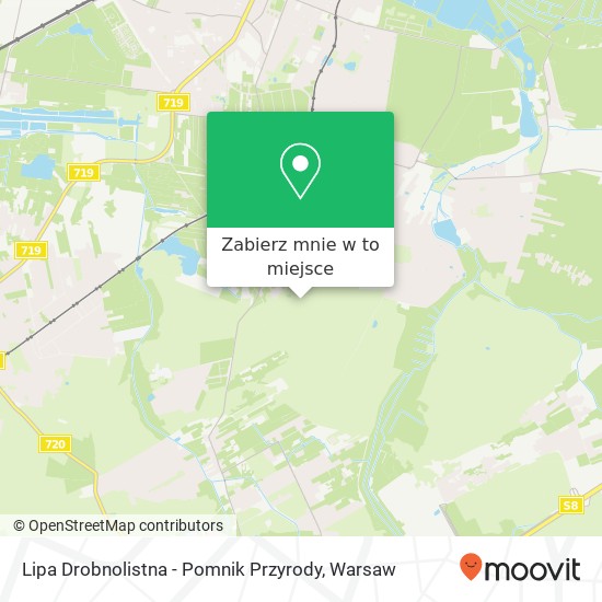 Mapa Lipa Drobnolistna - Pomnik Przyrody