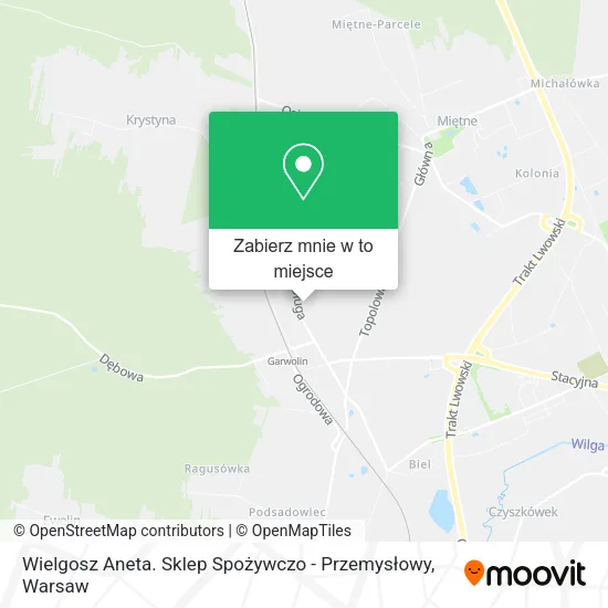 Mapa Wielgosz Aneta. Sklep Spożywczo - Przemysłowy