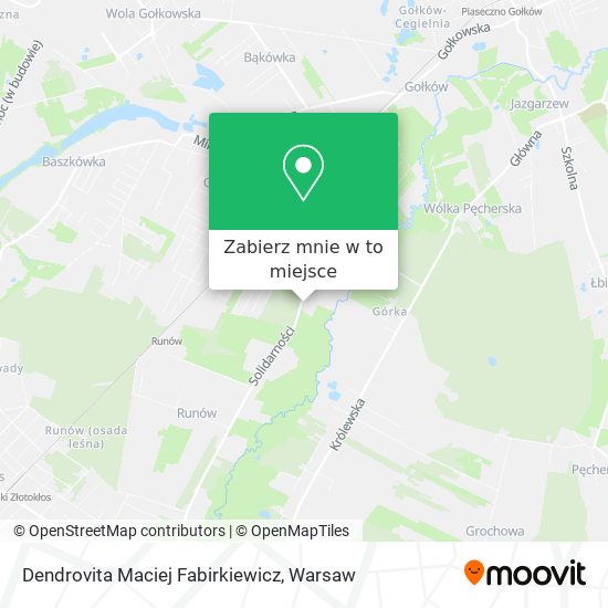 Mapa Dendrovita Maciej Fabirkiewicz