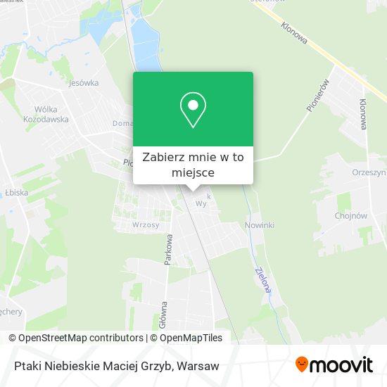 Mapa Ptaki Niebieskie Maciej Grzyb