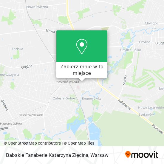 Mapa Babskie Fanaberie Katarzyna Zięcina