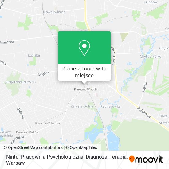 Mapa Nintu. Pracownia Psychologiczna. Diagnoza, Terapia