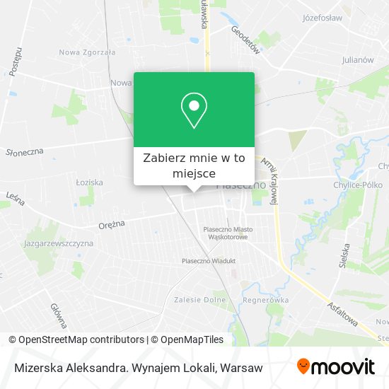 Mapa Mizerska Aleksandra. Wynajem Lokali