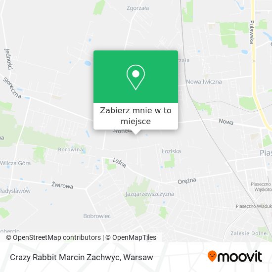 Mapa Crazy Rabbit Marcin Zachwyc