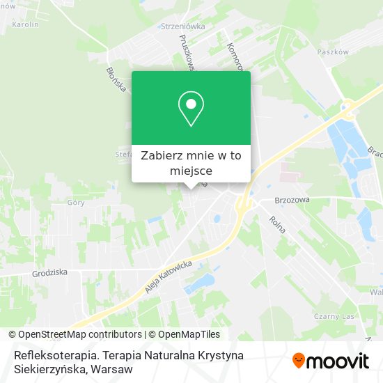 Mapa Refleksoterapia. Terapia Naturalna Krystyna Siekierzyńska