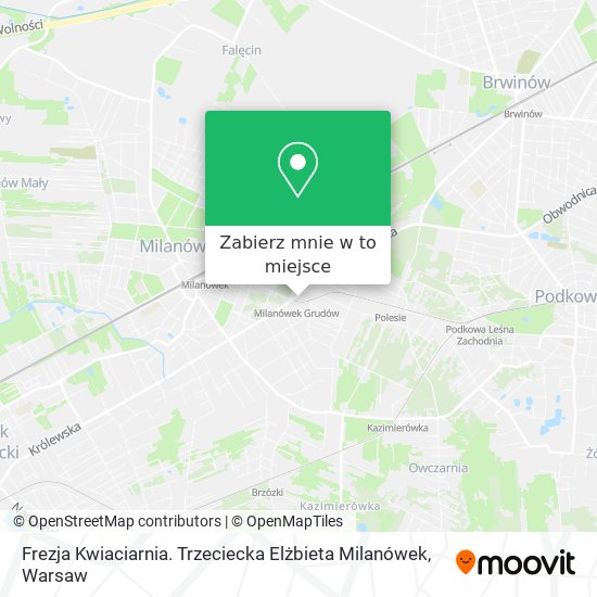 Mapa Frezja Kwiaciarnia. Trzeciecka Elżbieta Milanówek