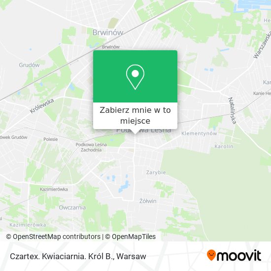 Mapa Czartex. Kwiaciarnia. Król B.