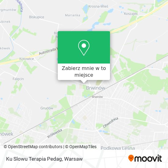 Mapa Ku Slowu Terapia Pedag