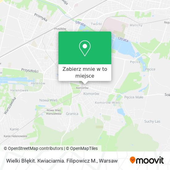 Mapa Wielki Błękit. Kwiaciarnia. Filipowicz M.