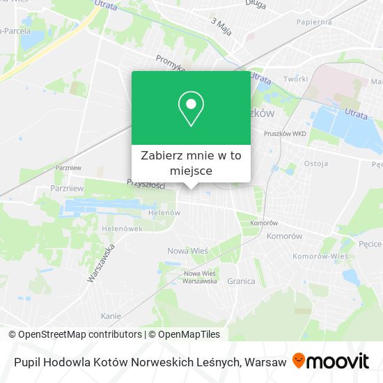 Mapa Pupil Hodowla Kotów Norweskich Leśnych