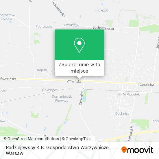 Mapa Radziejewscy K.B. Gospodarstwo Warzywnicze