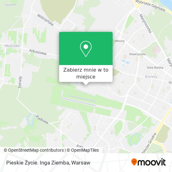 Mapa Pieskie Życie. Inga Ziemba