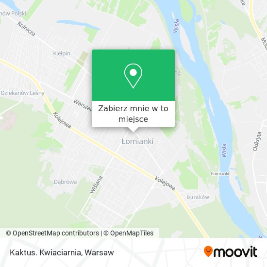 Mapa Kaktus. Kwiaciarnia