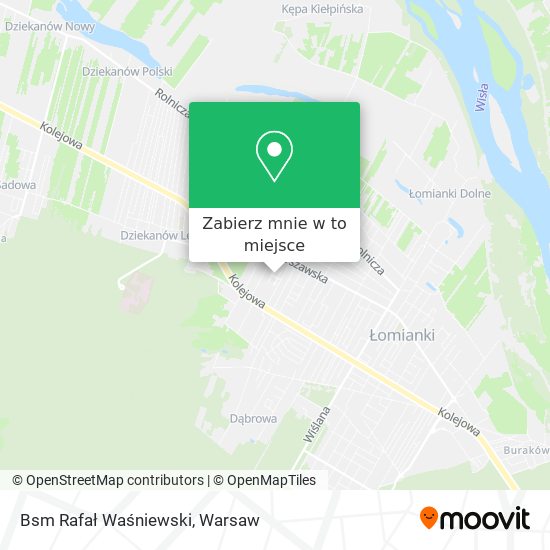 Mapa Bsm Rafał Waśniewski