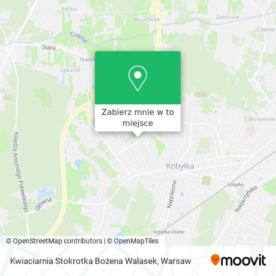 Mapa Kwiaciarnia Stokrotka Bożena Walasek