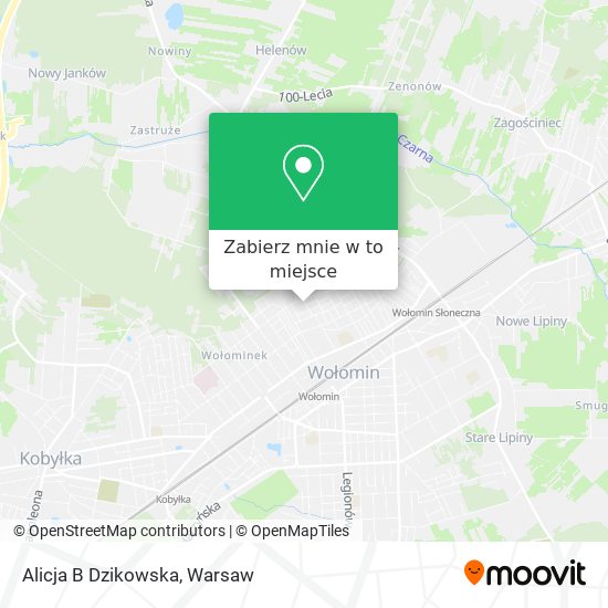 Mapa Alicja B Dzikowska