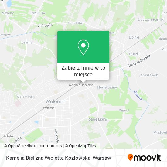 Mapa Kamelia Bielizna Wioletta Kozłowska