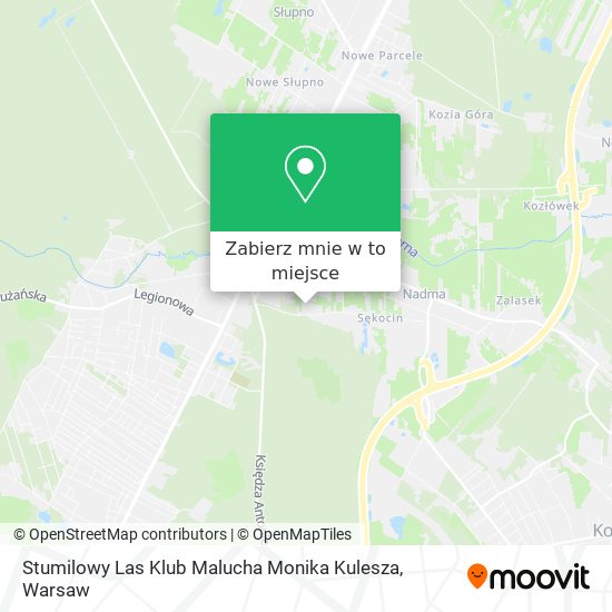 Mapa Stumilowy Las Klub Malucha Monika Kulesza