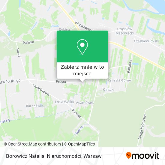 Mapa Borowicz Natalia. Nieruchomości