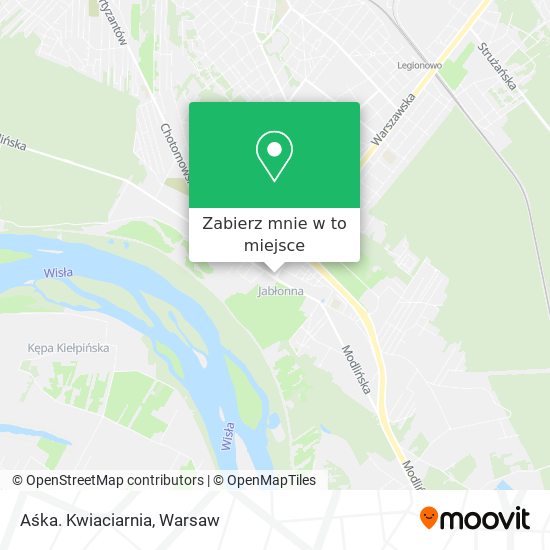 Mapa Aśka. Kwiaciarnia