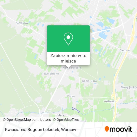 Mapa Kwiaciarnia Bogdan Łokietek