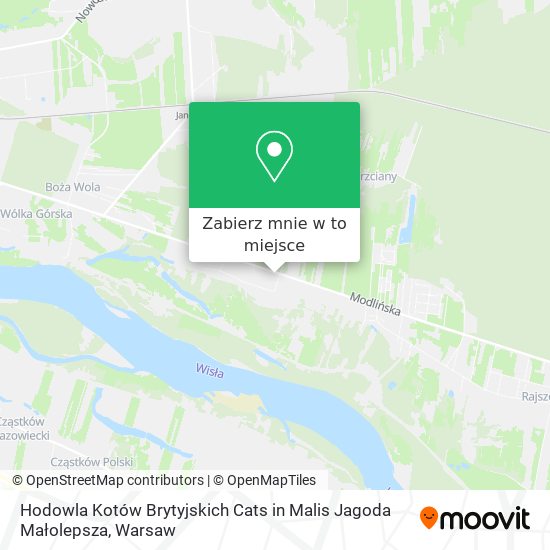 Mapa Hodowla Kotów Brytyjskich Cats in Malis Jagoda Małolepsza