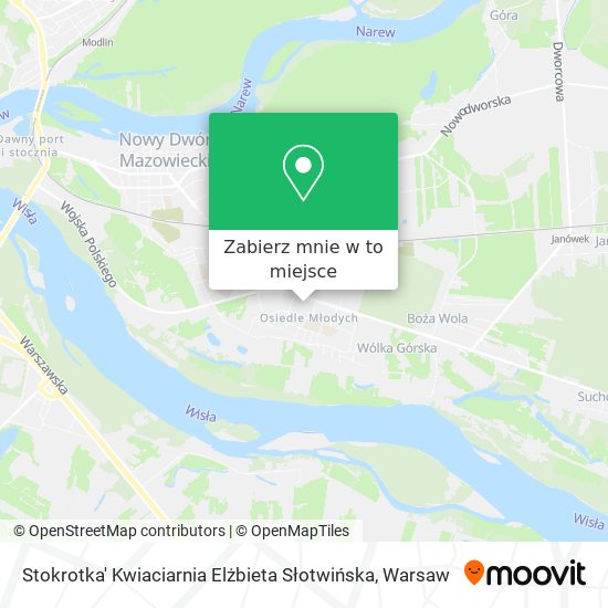 Mapa Stokrotka' Kwiaciarnia Elżbieta Słotwińska