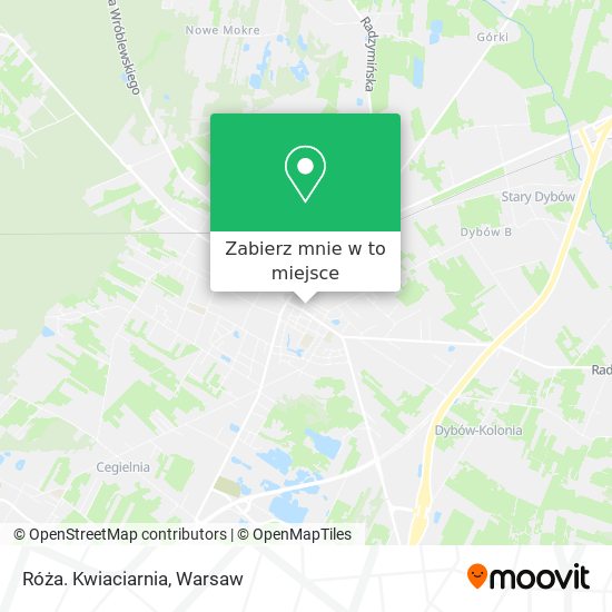 Mapa Róża. Kwiaciarnia