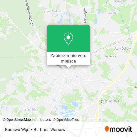 Mapa Bamiwa Wąsik Barbara