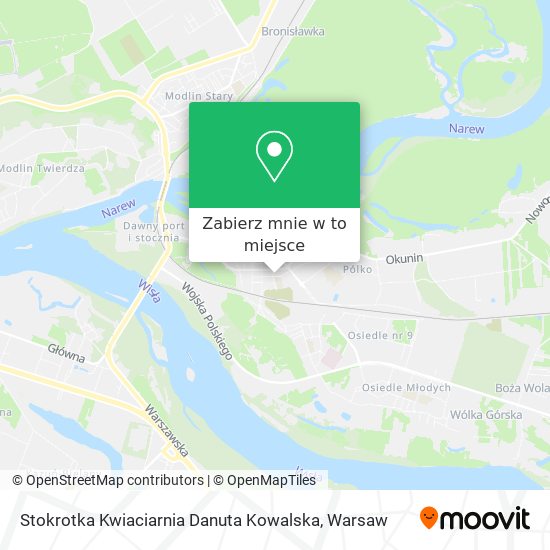 Mapa Stokrotka Kwiaciarnia Danuta Kowalska