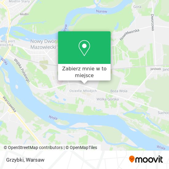 Mapa Grzybki