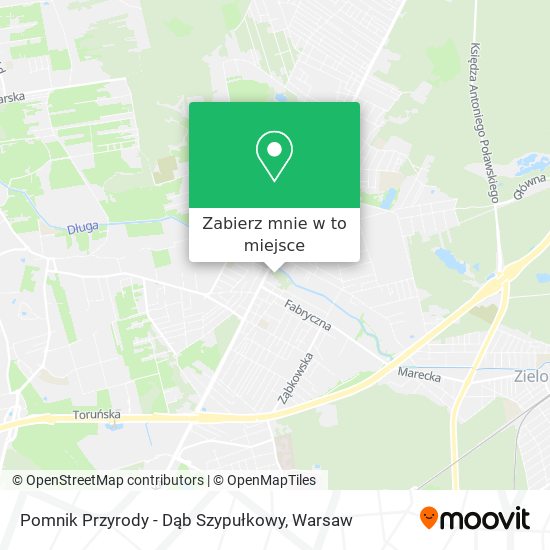 Mapa Pomnik Przyrody - Dąb Szypułkowy