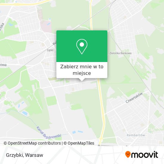 Mapa Grzybki