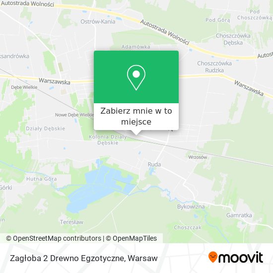 Mapa Zagłoba 2 Drewno Egzotyczne