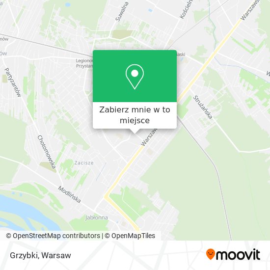 Mapa Grzybki